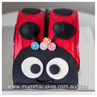 Ladybug DIY Cake kit - Mumma Cakes
