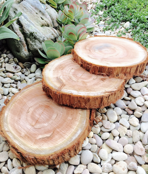 timber tree stump platters