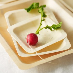 bamboo disposable plates