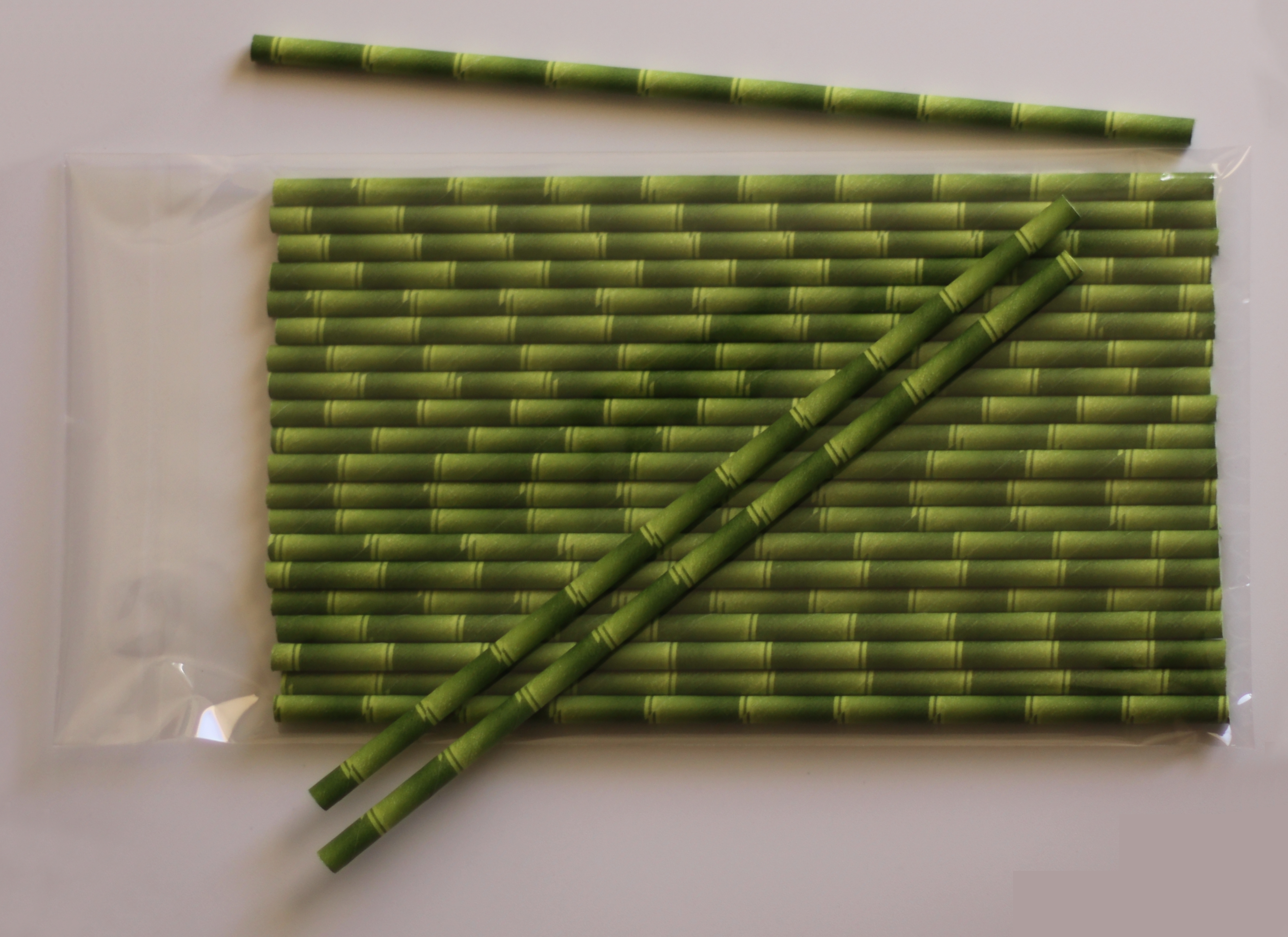 Bamboo (5)