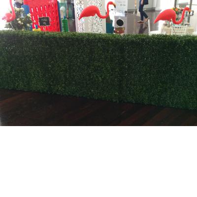 Hedge for hire - Tiny Tots Toy Hire (Sydney)