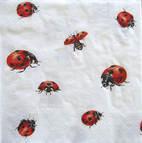 Ladybug napkins - Party & Co