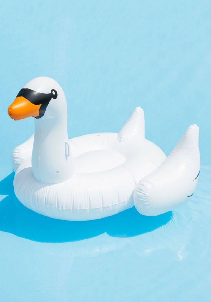 Inflatable swan - Oliver's Twisty Tales