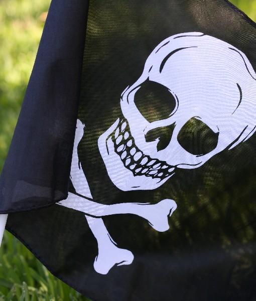pirate flag 