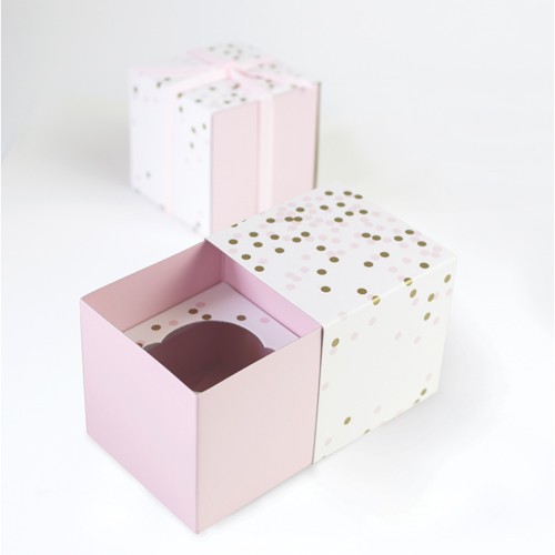 cupcake box