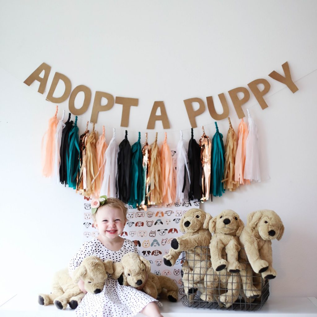 adopt a puppy party ideas